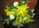Floral Display